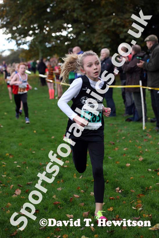 Under-11 girls winnerNorth East Harrier League, Blaydon. Photo: David T. Hewitson/Sports for All Pics